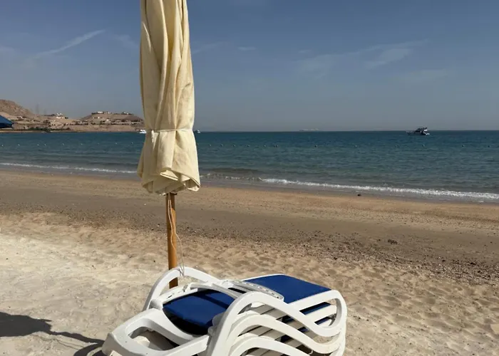 بورتو سخنه *