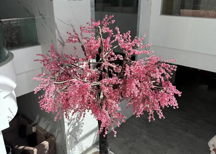 Apartman بورتو سخنه Ajn-Szuhna